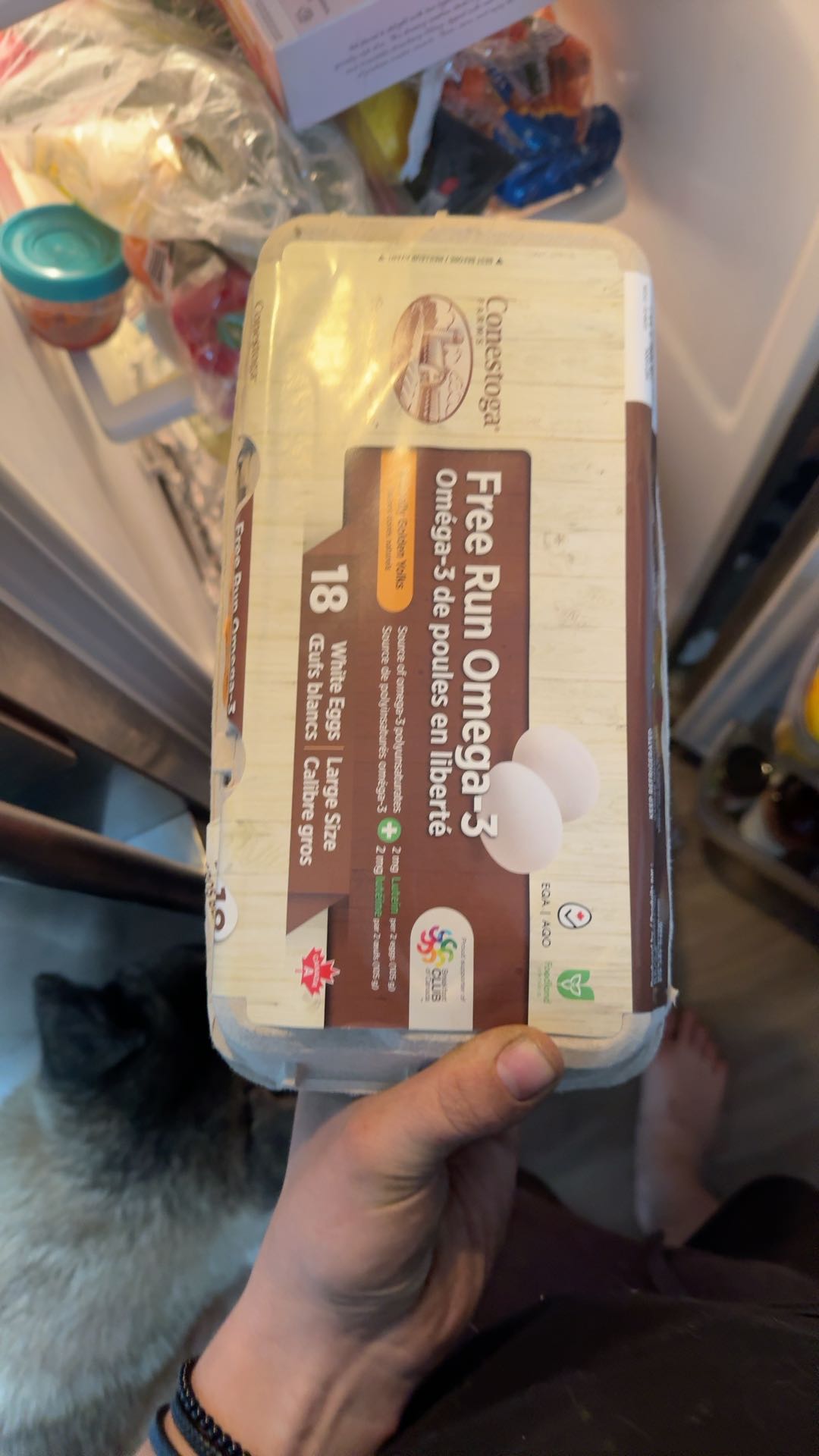 Free Run Omega3 Eggs