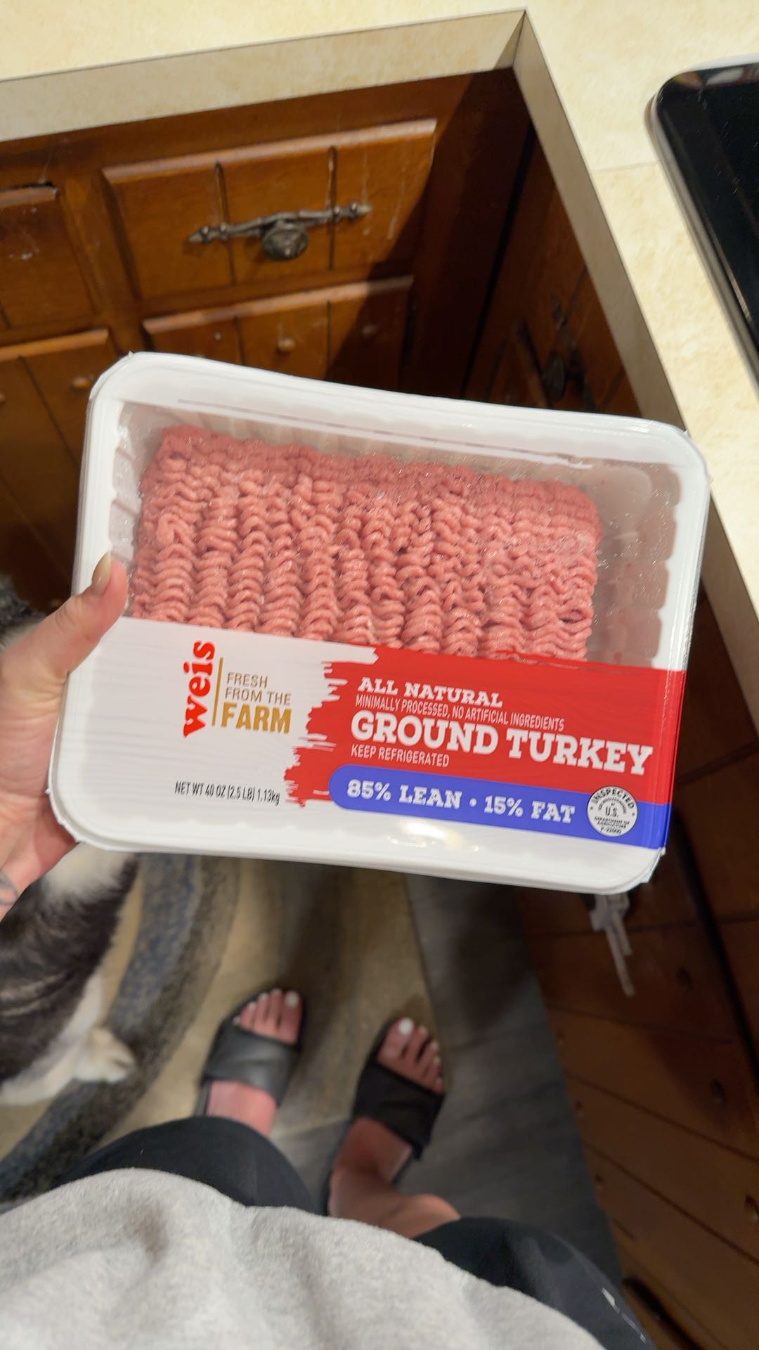 YOUNG TURKEY