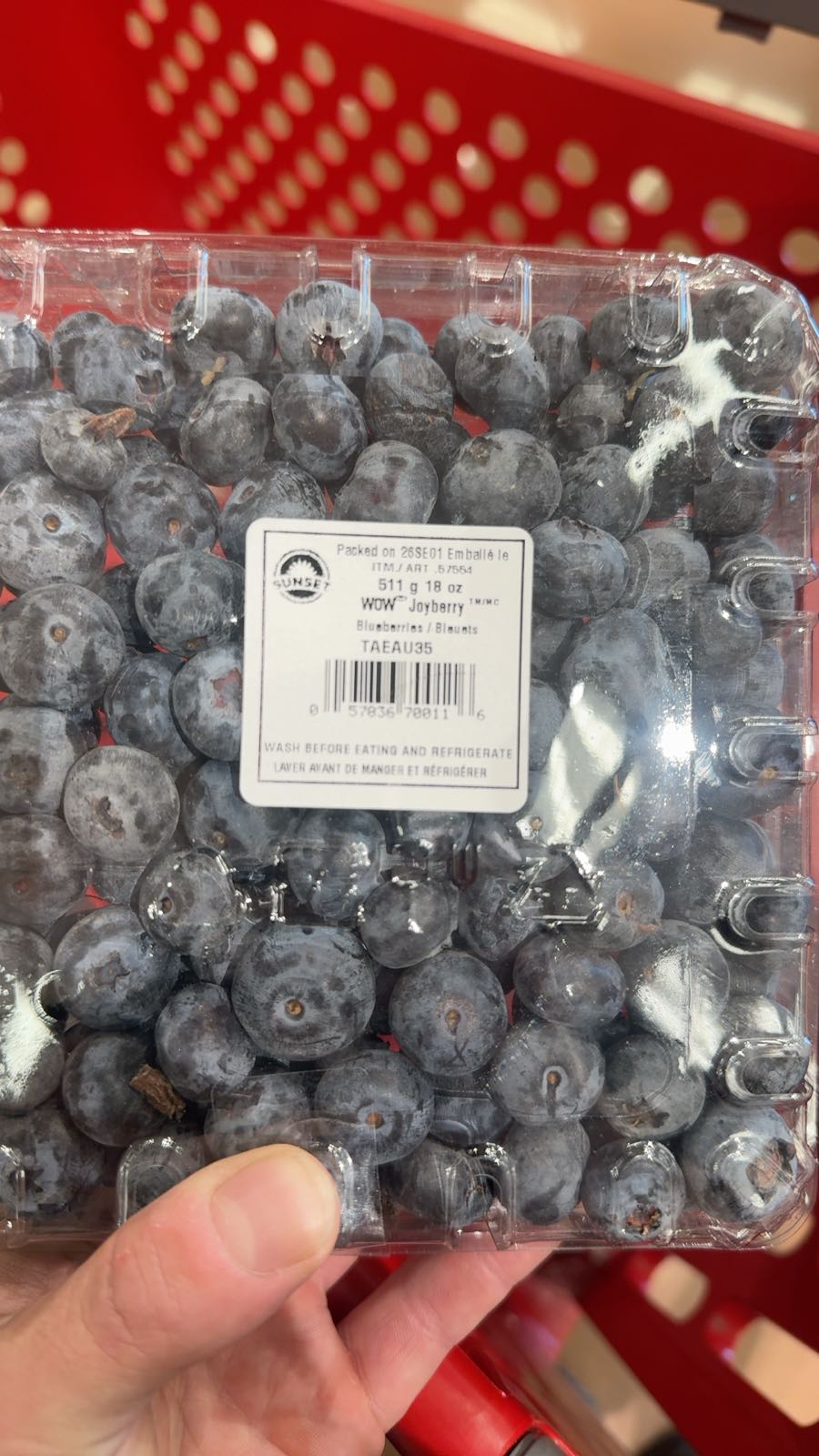 Blueberries