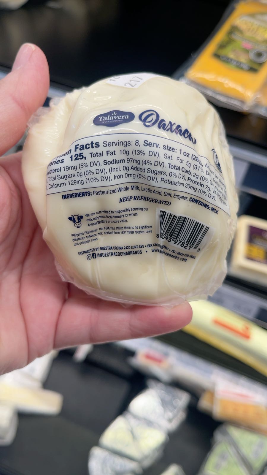 Talavera Oaxaca Cheese