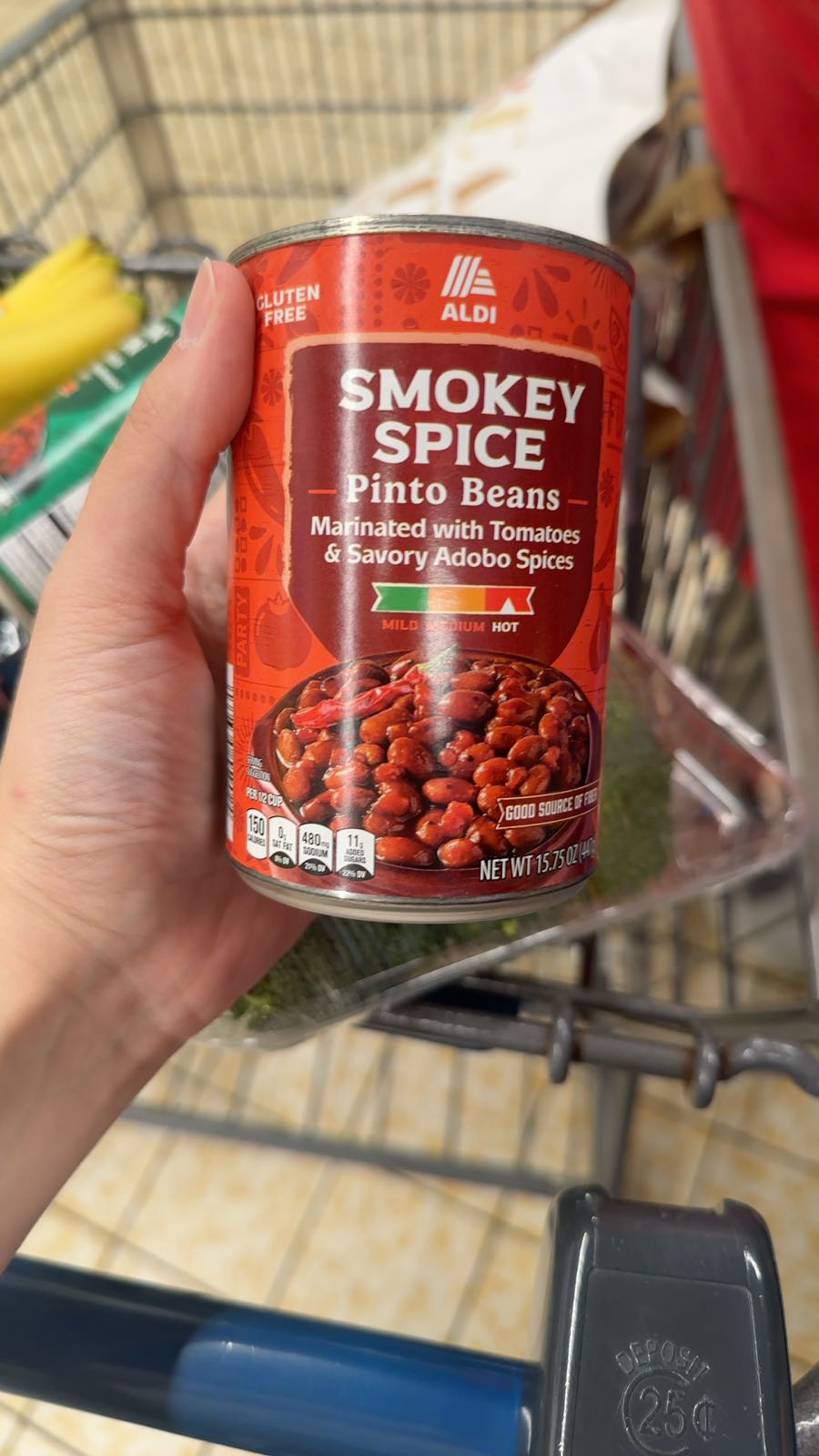 Smokey Spice Pinto Beans Marinated with Tomatoes & Savory Adobo Spices