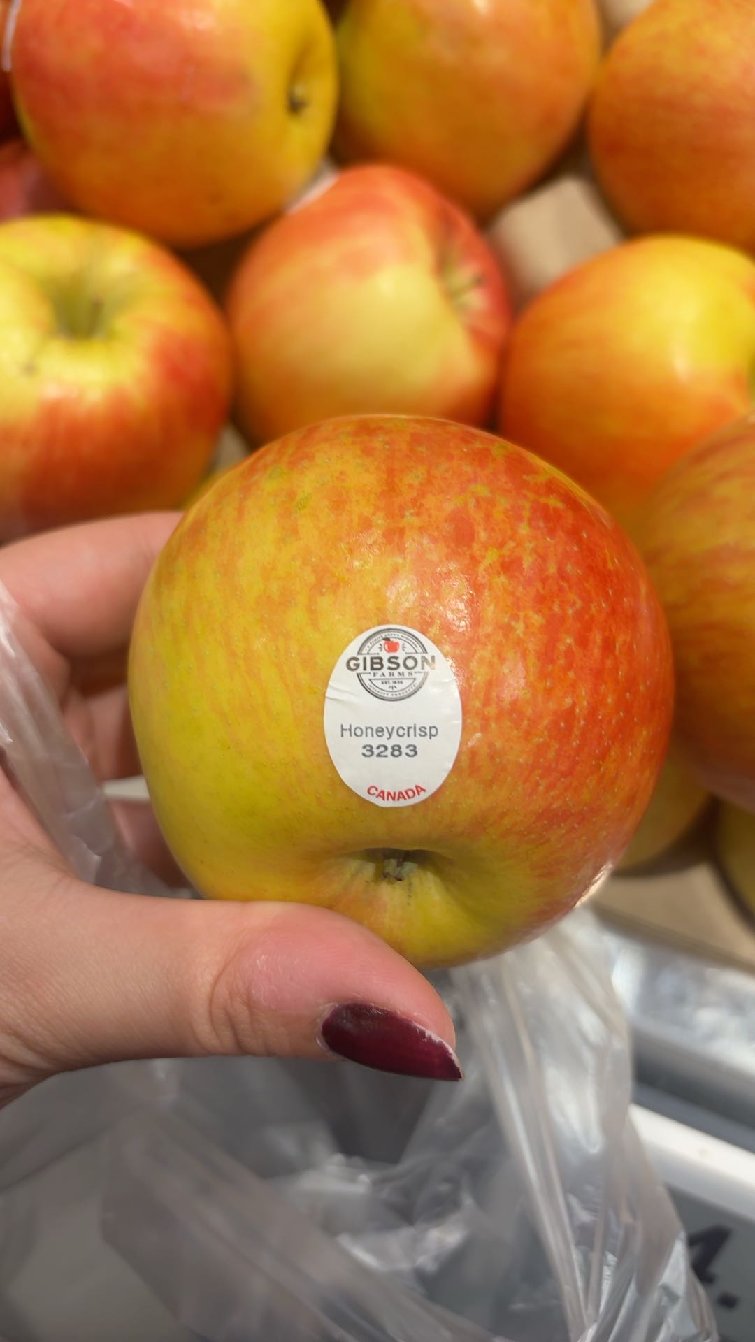 100% HONEYCRISP BLEND APPLE CIDER