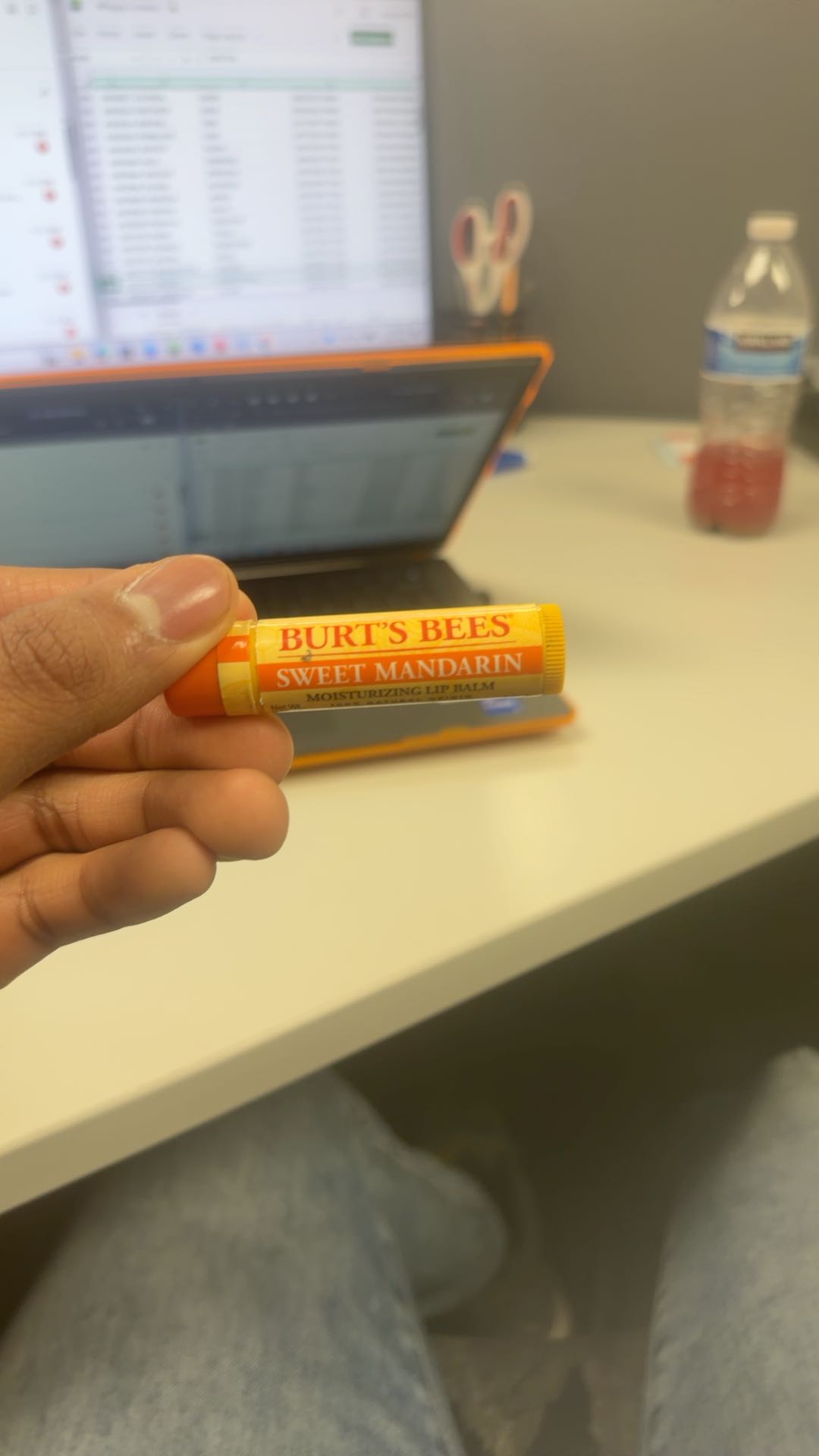 Burt's Bees Freshly Picked Lip Balm - 4ct