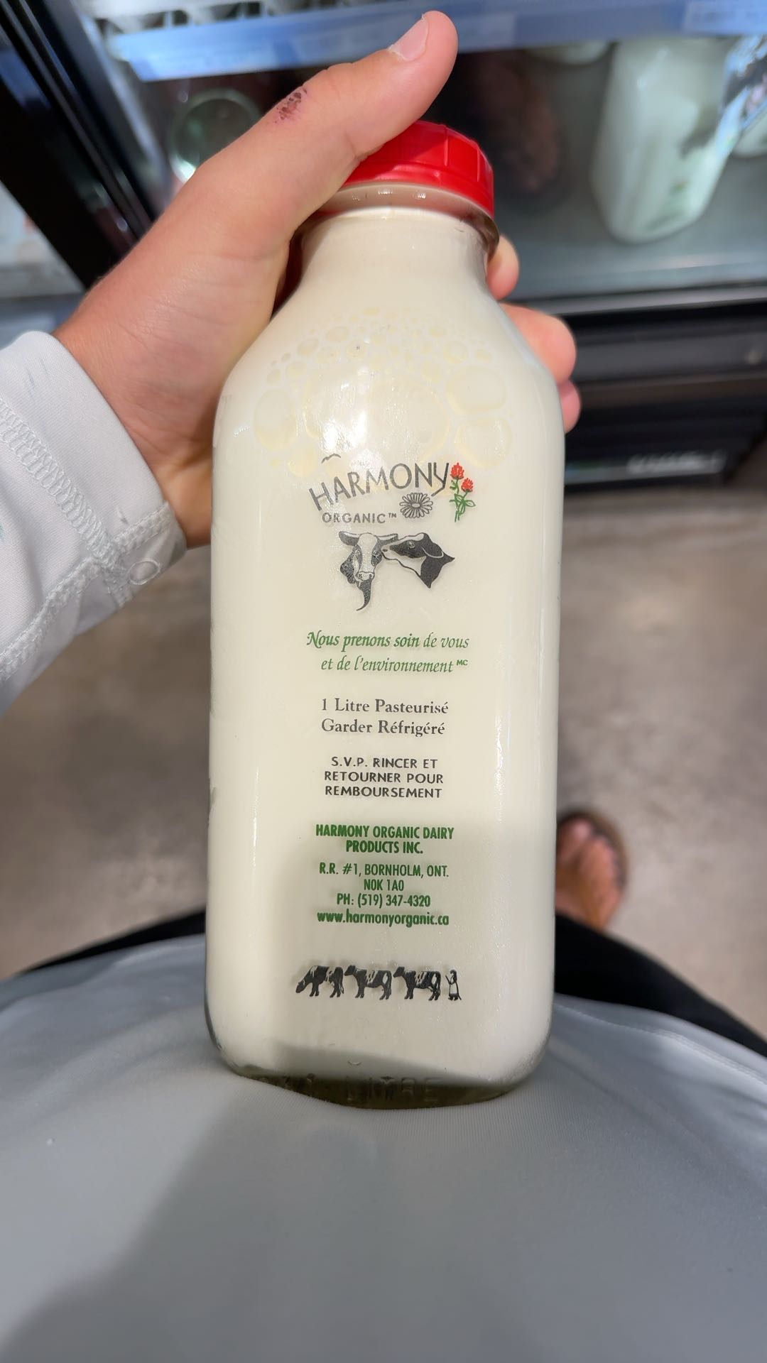Organic 3.8% Whole Milk