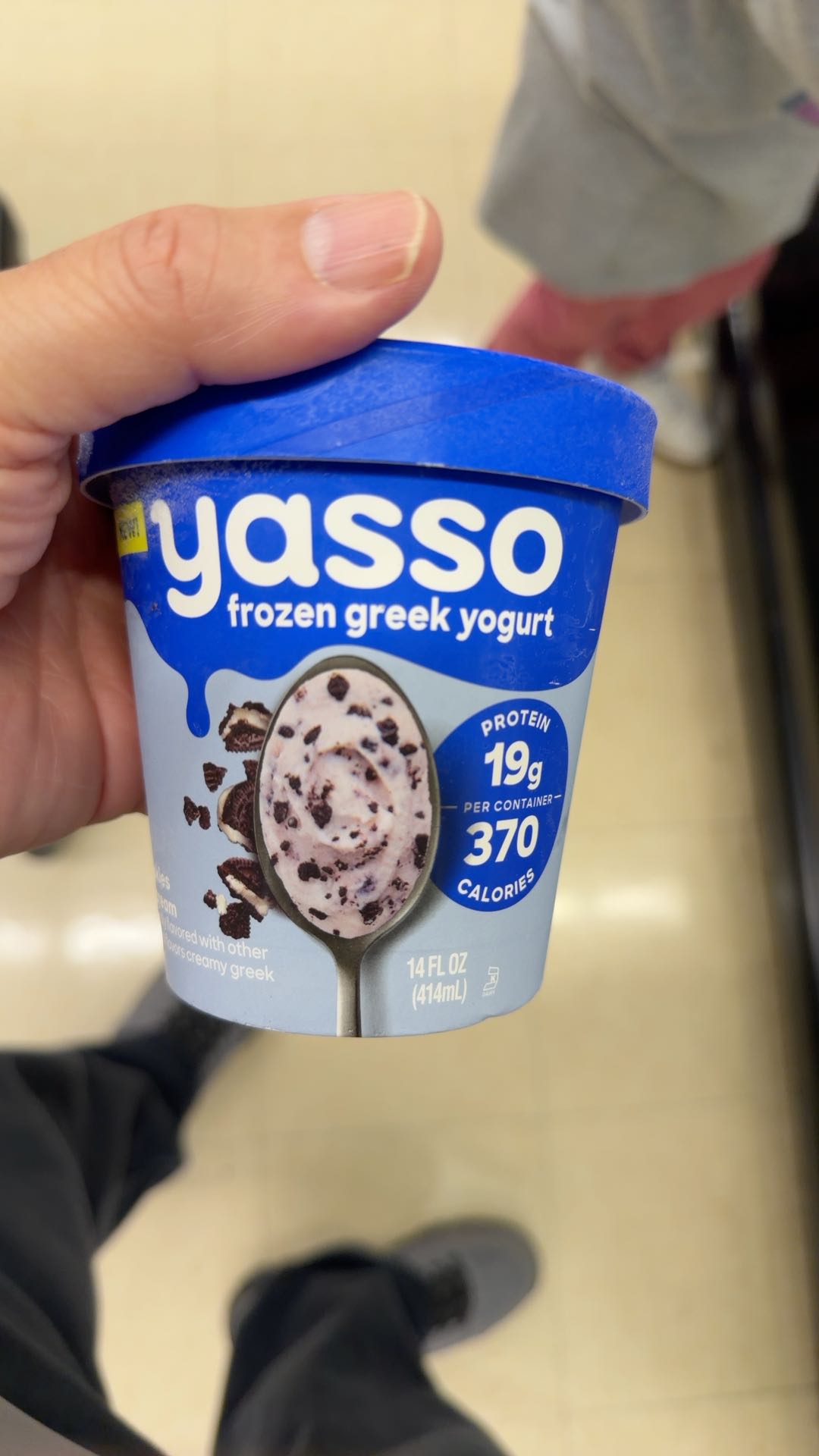 Yasso Frozen Greek Mint Chocolate Chip Yogurt